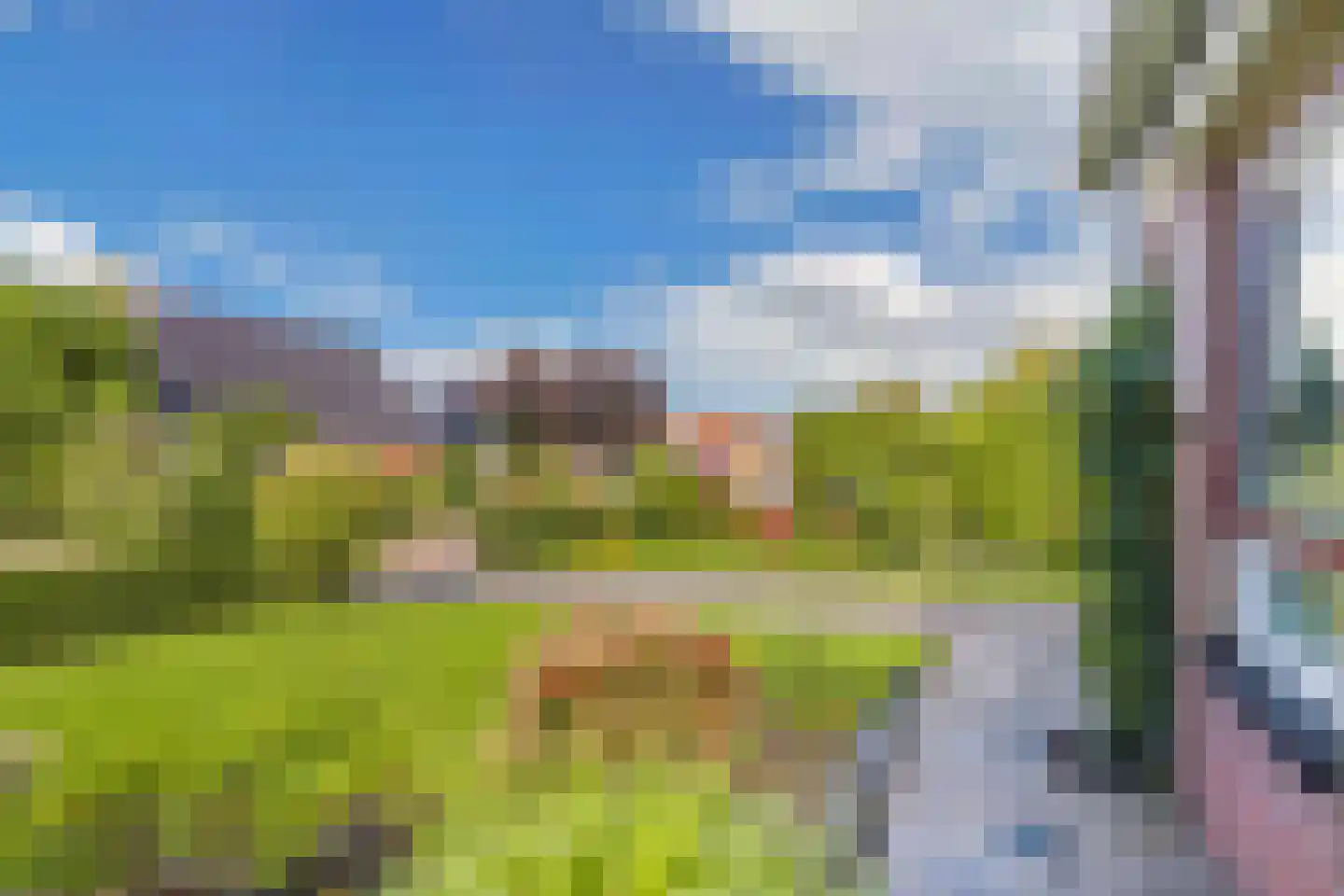 Terpwei 6 Wjelsryp thumbnail 52