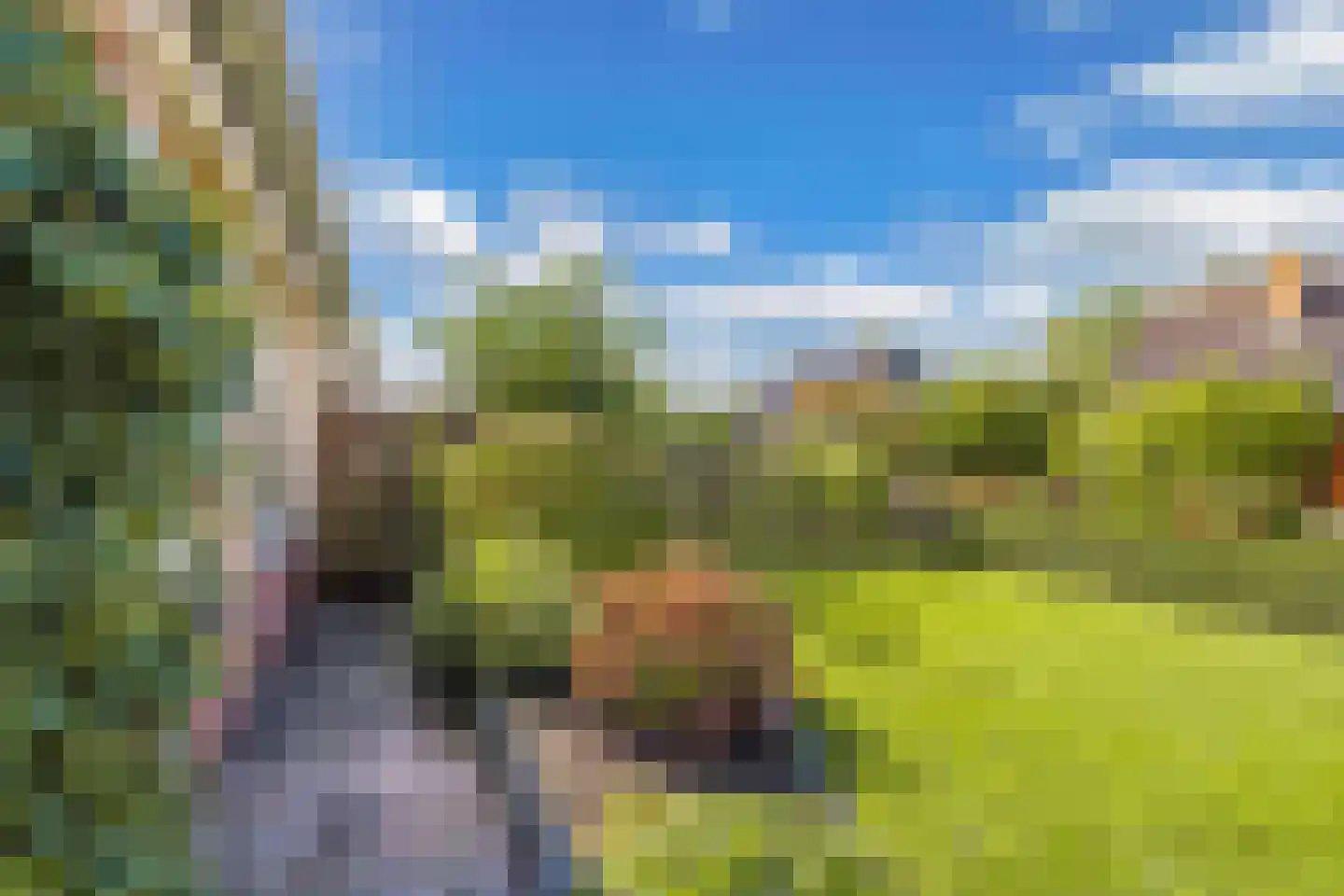 Terpwei 6 Wjelsryp thumbnail 53
