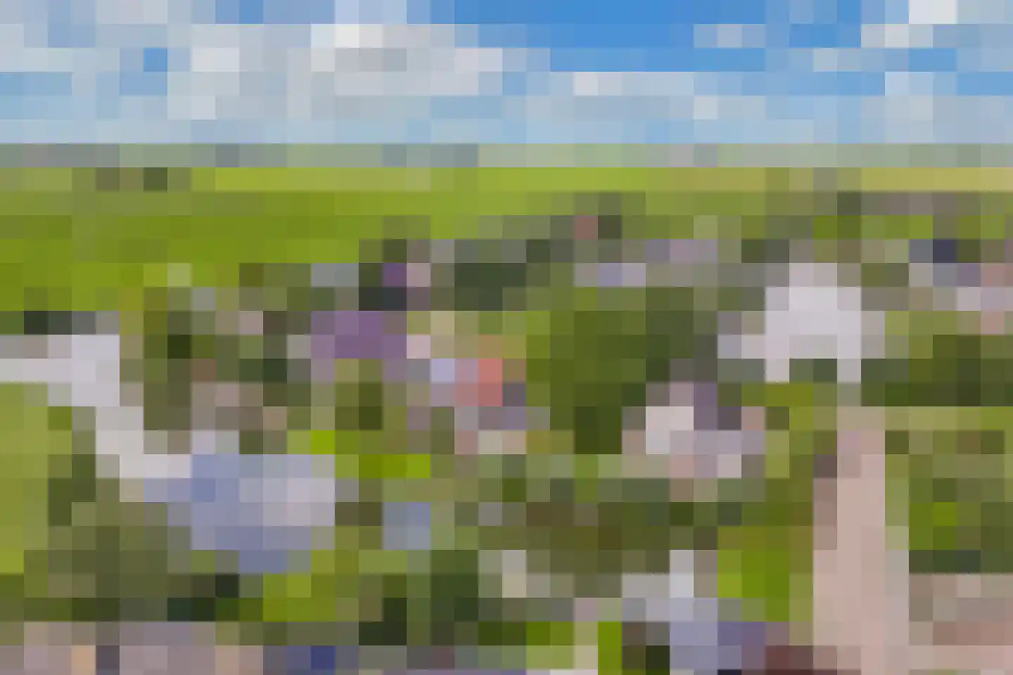 Terpwei 6 Wjelsryp thumbnail 55