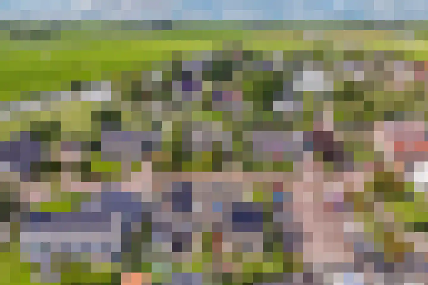 Terpwei 6 Wjelsryp thumbnail 60