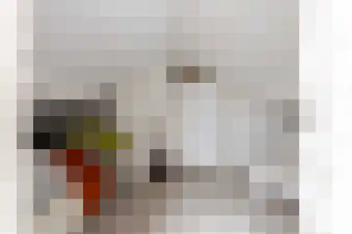 Terra nigrastraat 35 Maastricht thumbnail 30