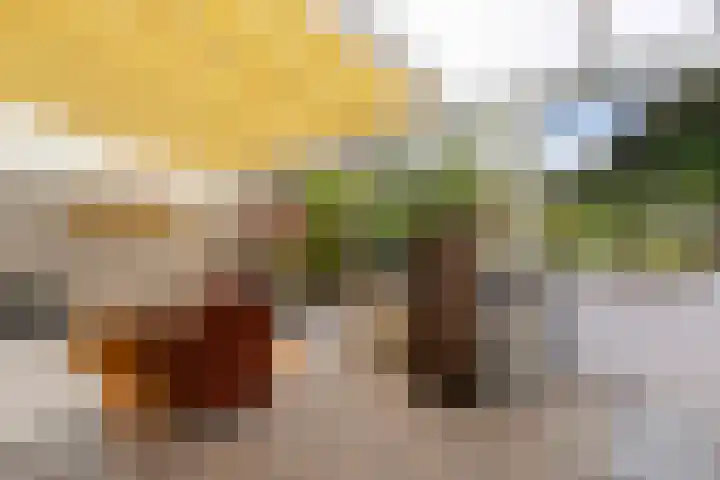 Terra nigrastraat 35 Maastricht thumbnail 34