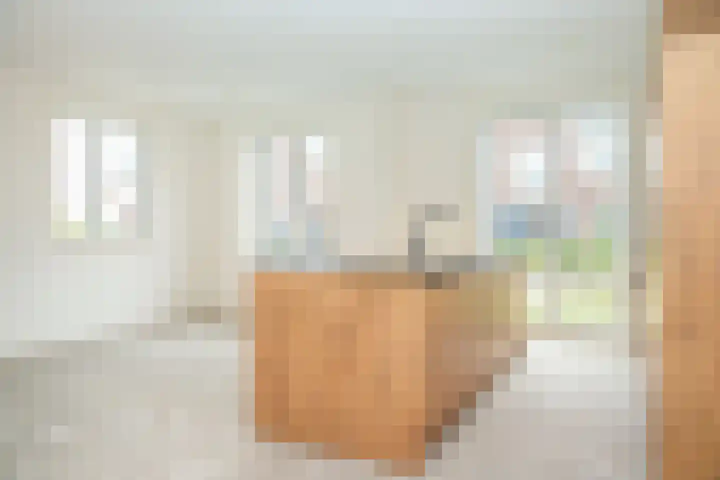 Terra Nigrastraat 38 Kesteren thumbnail 10