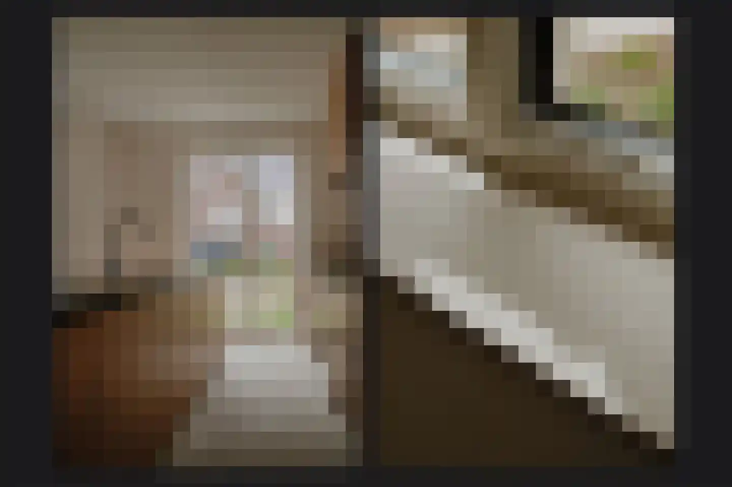 Terra Nigrastraat 38 Kesteren thumbnail 11