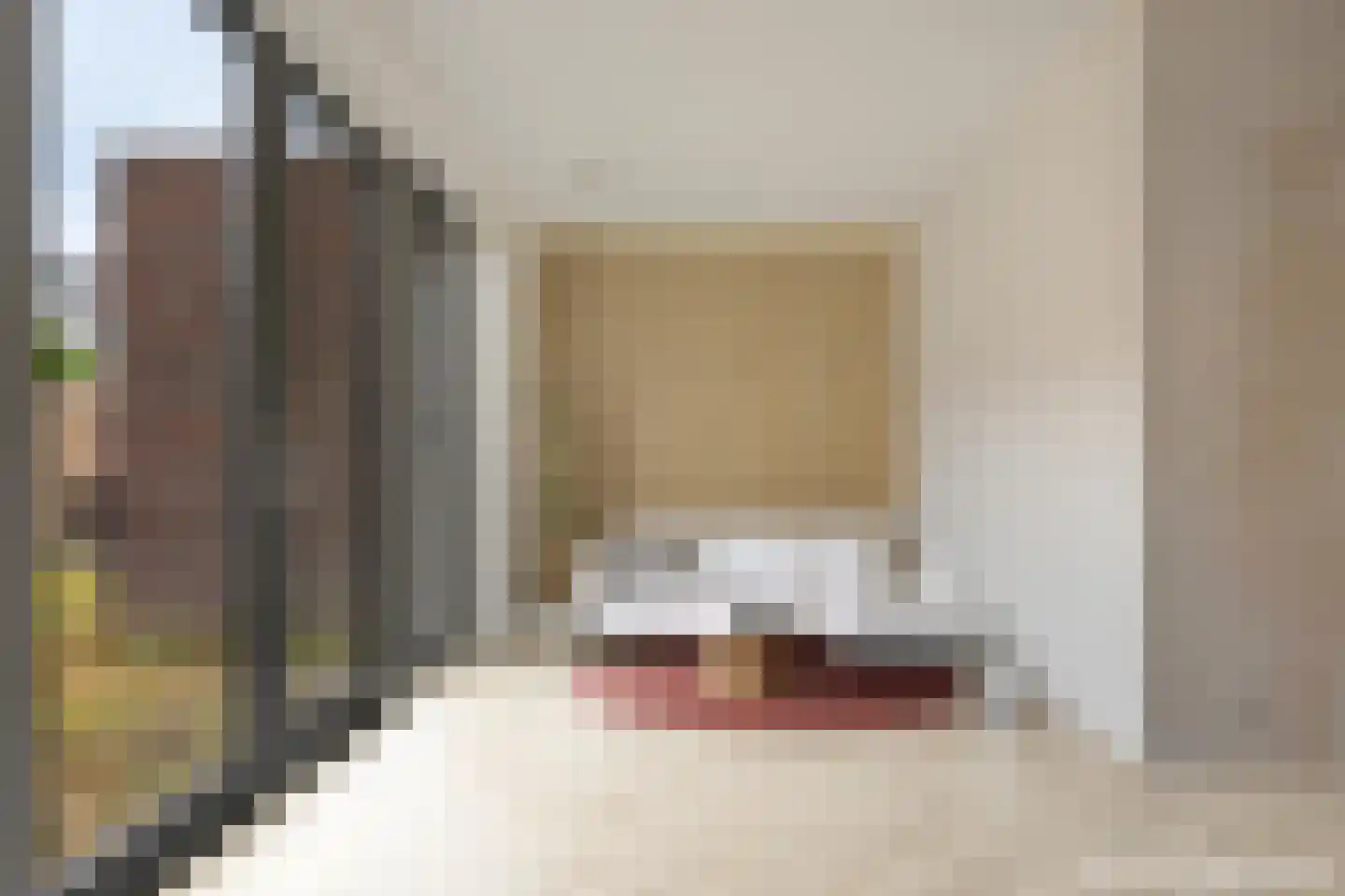 Terra Nigrastraat 38 Kesteren thumbnail 13