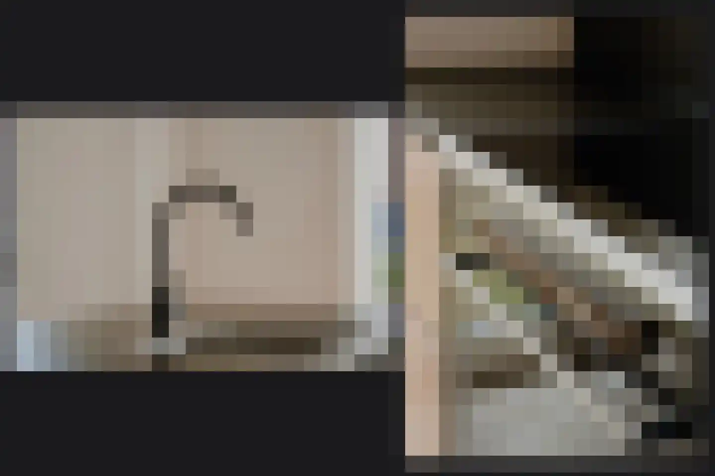 Terra Nigrastraat 38 Kesteren thumbnail 13