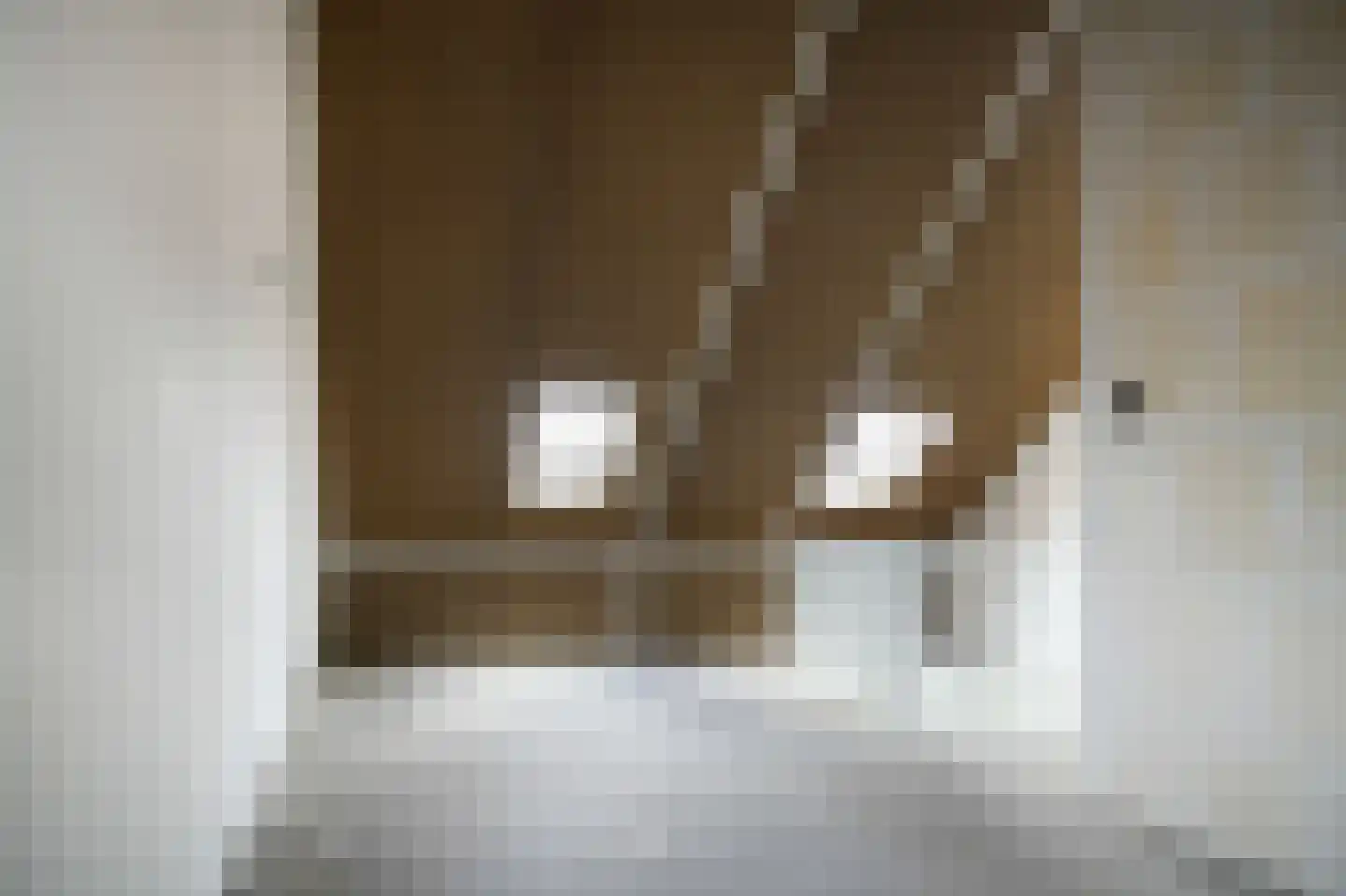 Terra Nigrastraat 38 Kesteren thumbnail 20