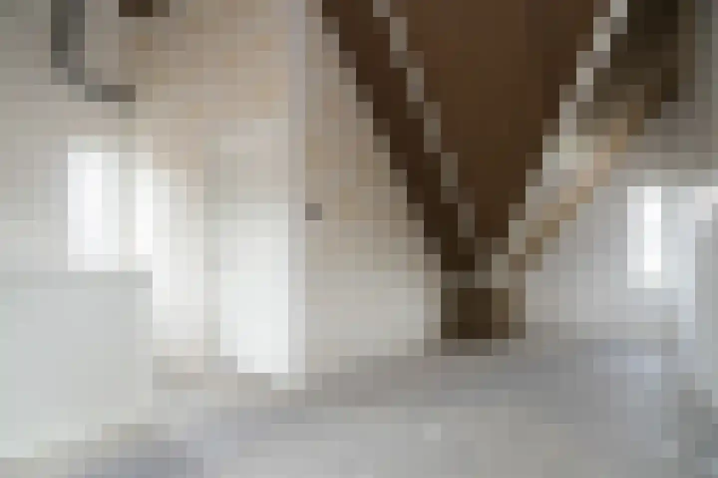 Terra Nigrastraat 38 Kesteren thumbnail 21