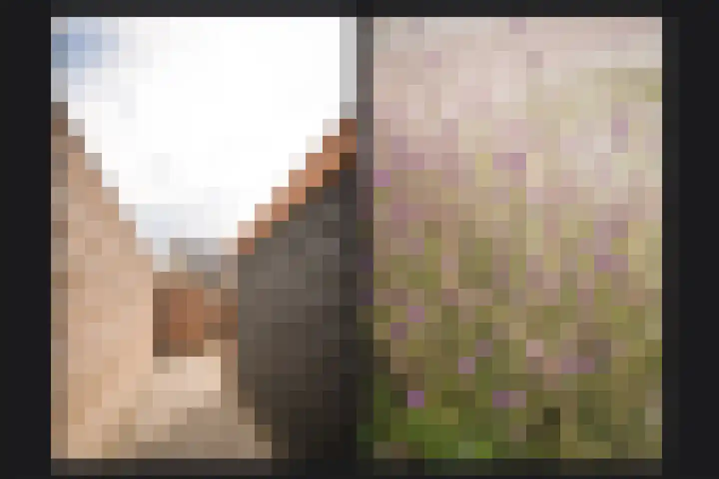 Terra Nigrastraat 38 Kesteren thumbnail 23