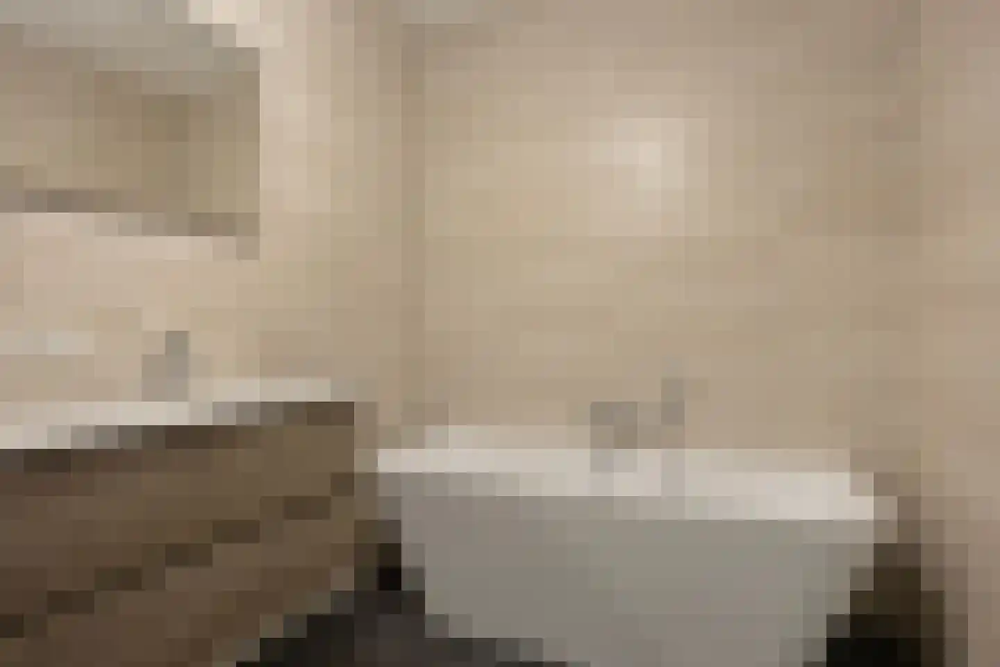Terra Nigrastraat 38 Kesteren thumbnail 25