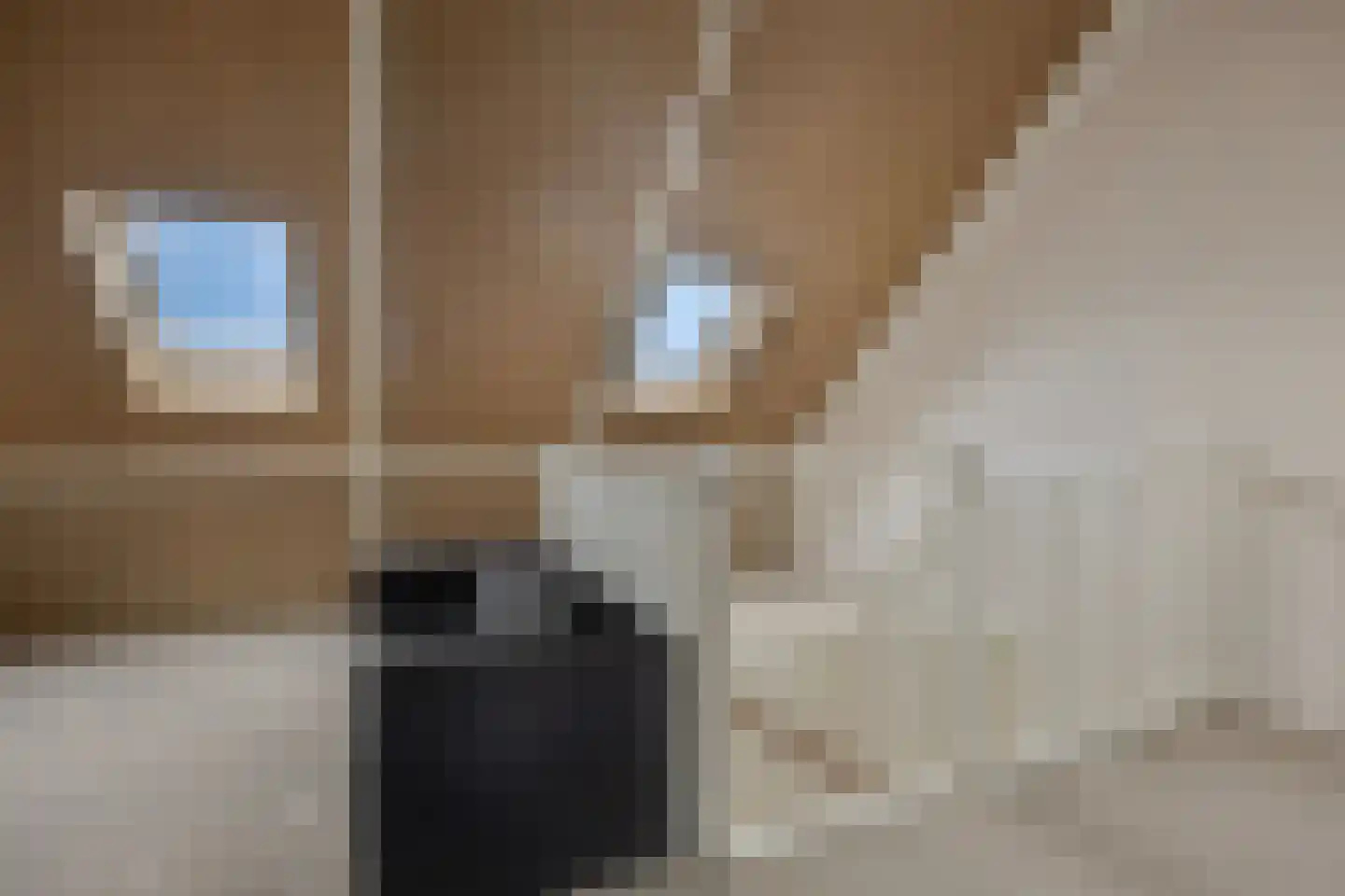 Terra Nigrastraat 38 Kesteren thumbnail 29