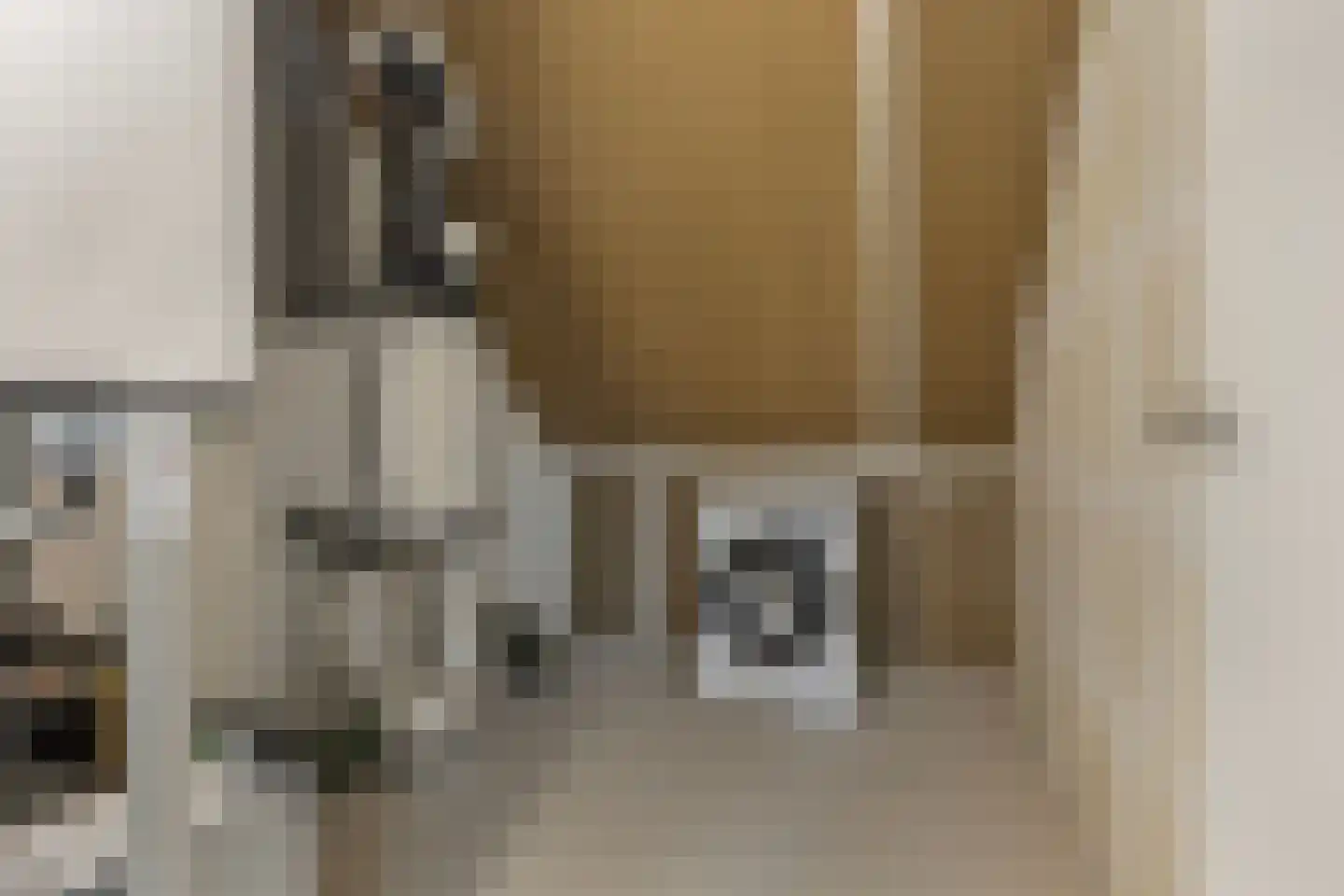 Terra Nigrastraat 38 Kesteren thumbnail 33