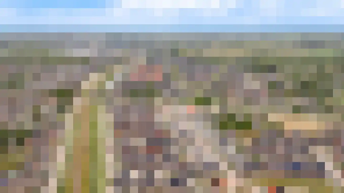 Terra Nigrastraat 38 Kesteren thumbnail 36