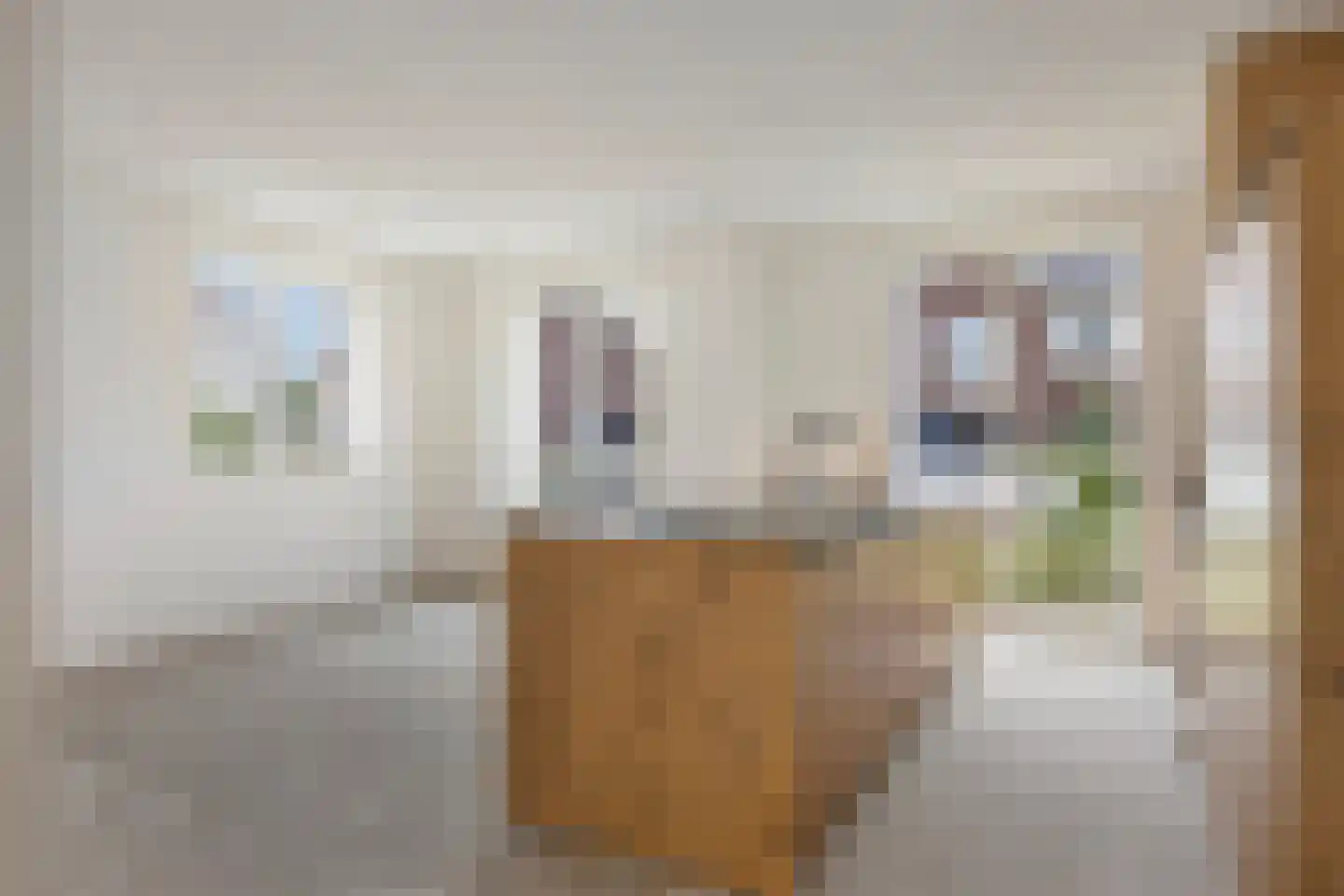 Terra Nigrastraat 38 Kesteren thumbnail 7