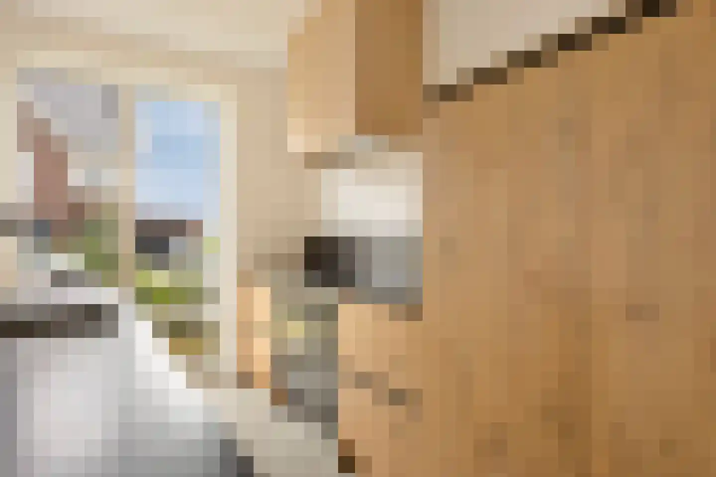 Terra Nigrastraat 38 Kesteren thumbnail 9