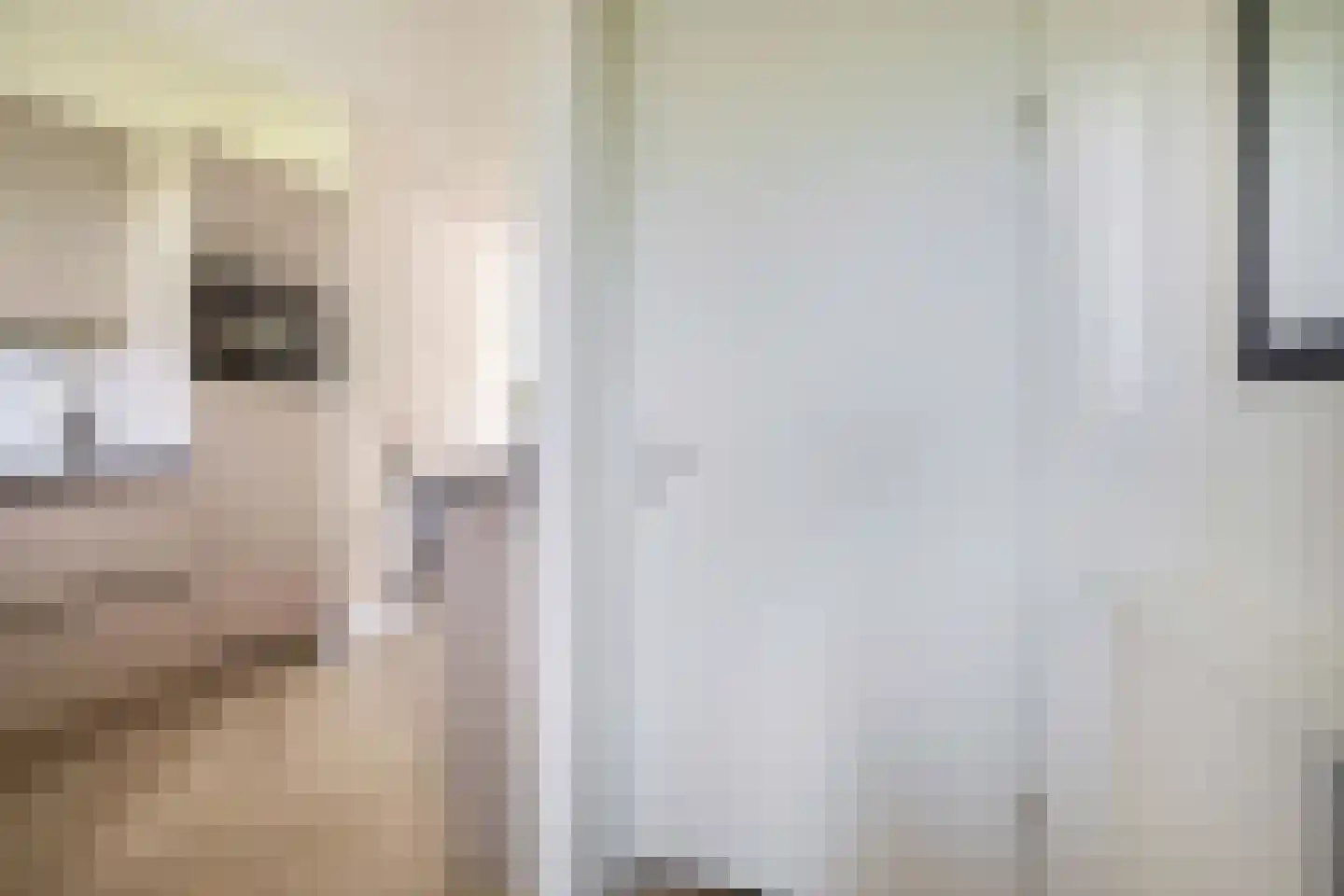 Terra Nigrastraat 8 Kesteren thumbnail 13