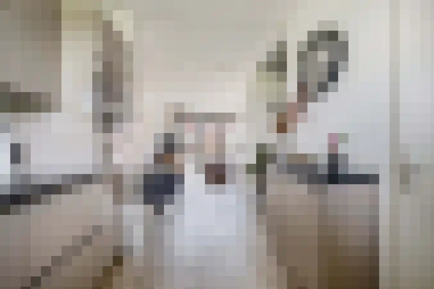 Terra Nigrastraat 8 Kesteren thumbnail 14
