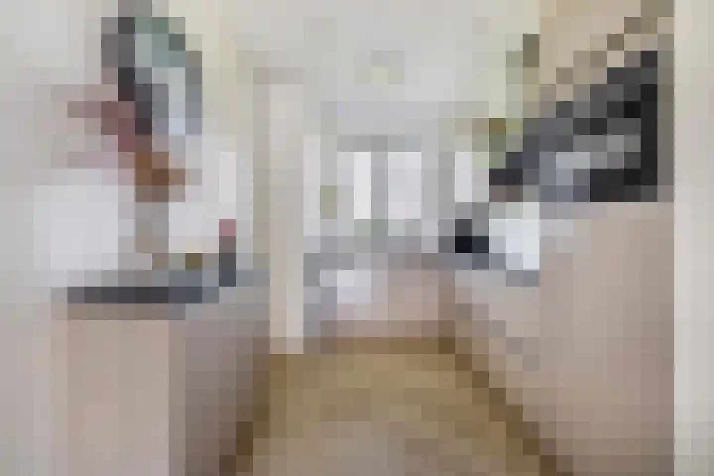 Terra Nigrastraat 8 Kesteren thumbnail 15