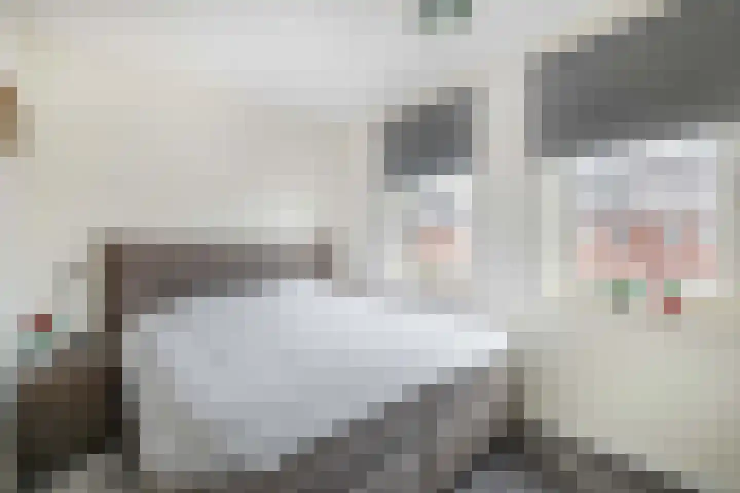 Terra Nigrastraat 8 Kesteren thumbnail 18