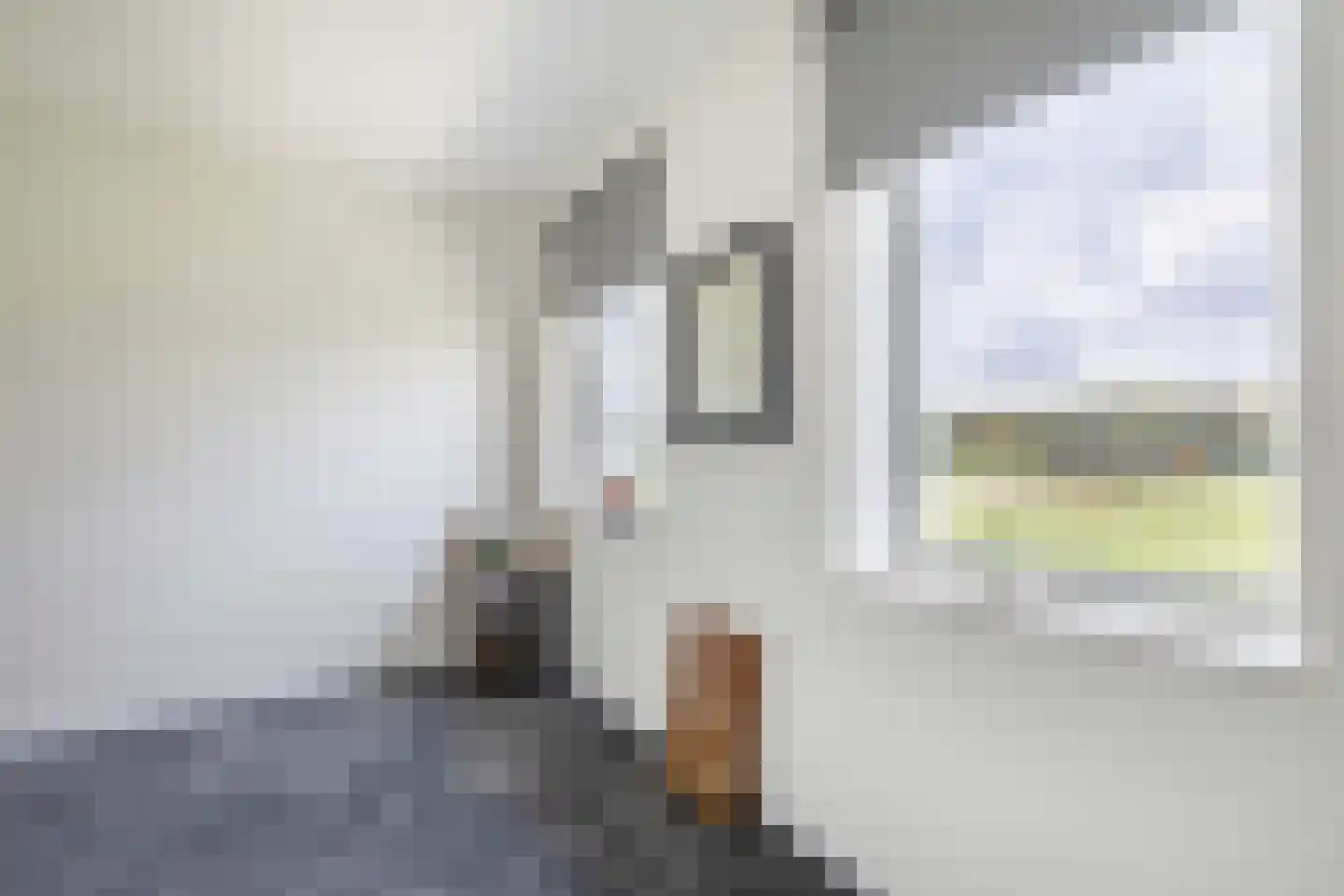 Terra Nigrastraat 8 Kesteren thumbnail 23