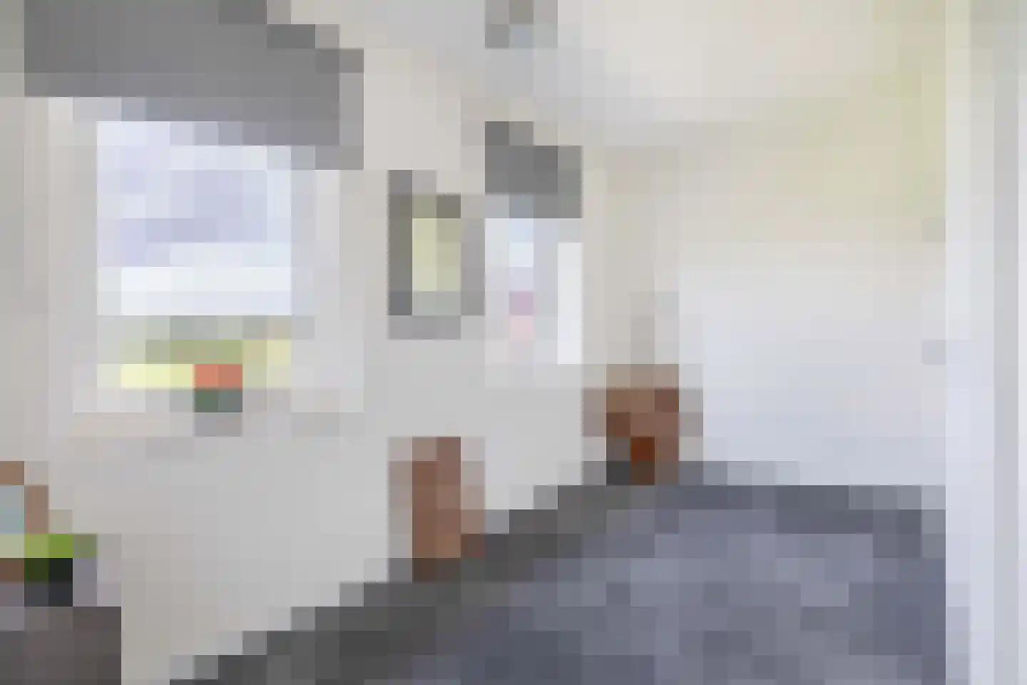 Terra Nigrastraat 8 Kesteren thumbnail 25