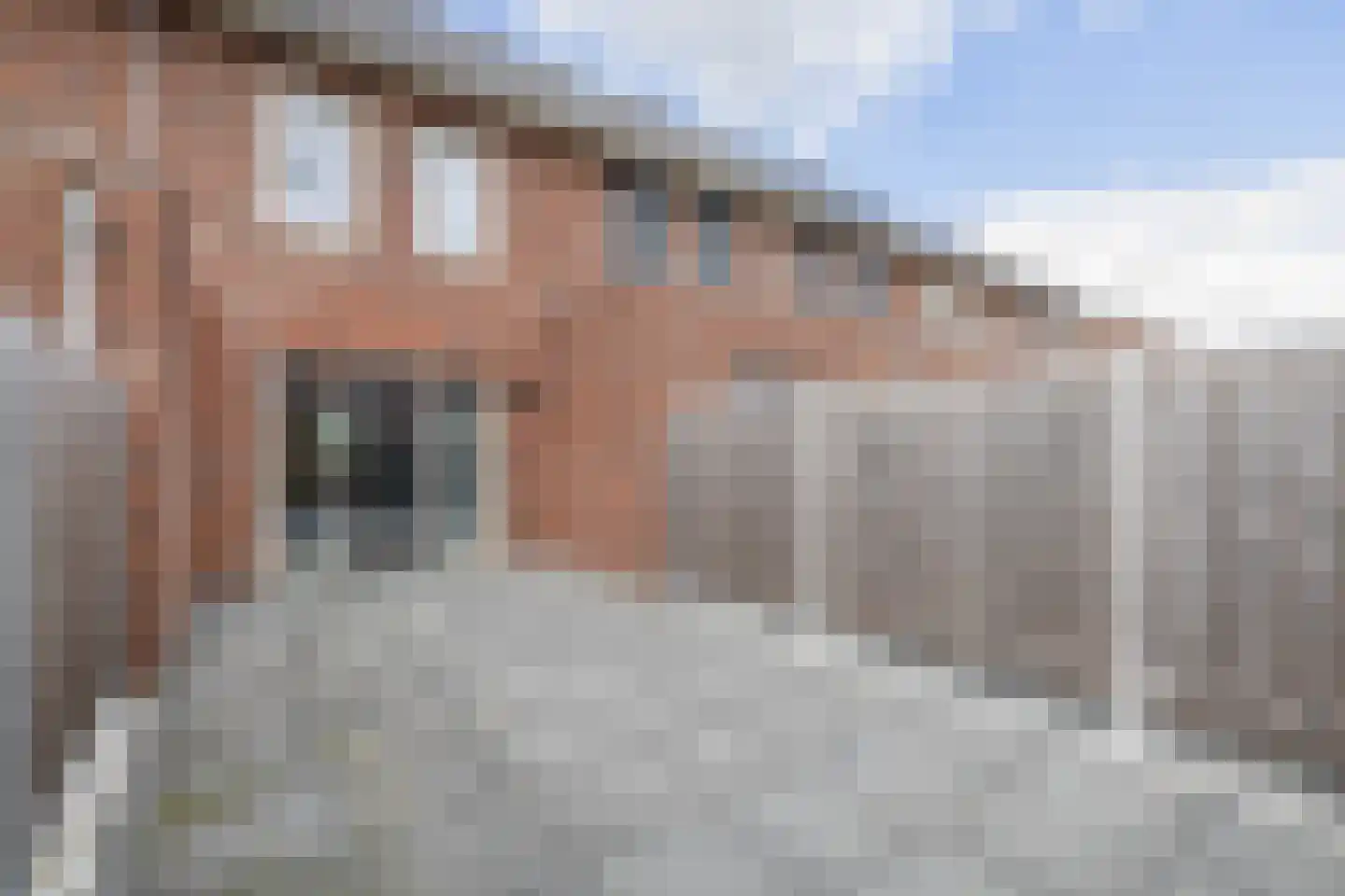 Terra Nigrastraat 8 Kesteren thumbnail 26
