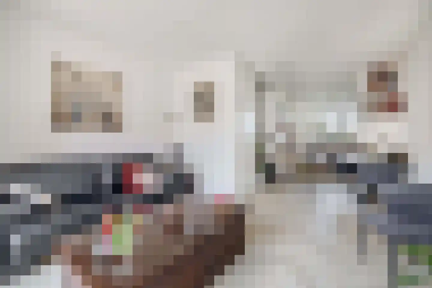 Terra Nigrastraat 8 Kesteren thumbnail 9
