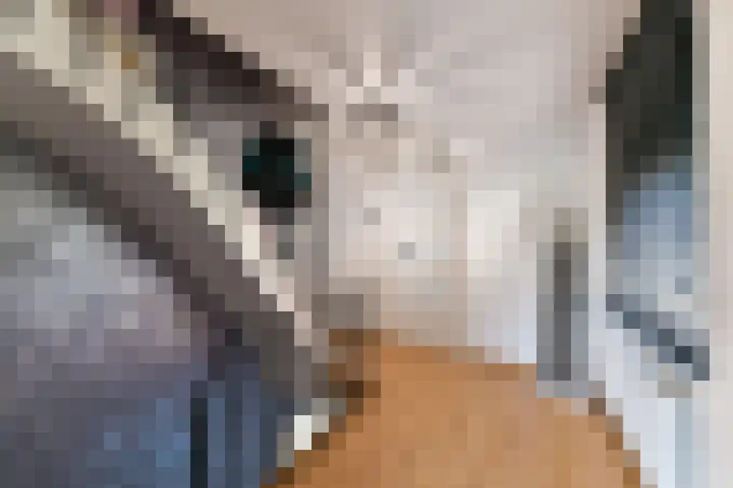 Terracottalaan 6 Steyl thumbnail 13