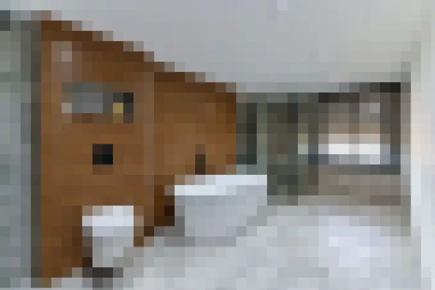 Terracottalaan 6 Steyl thumbnail 15