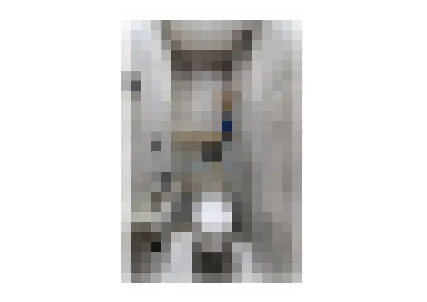 Terracottalaan 6 Steyl thumbnail 4