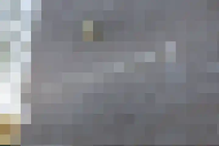 Terracottastraat 37 Rijswijk thumbnail 32