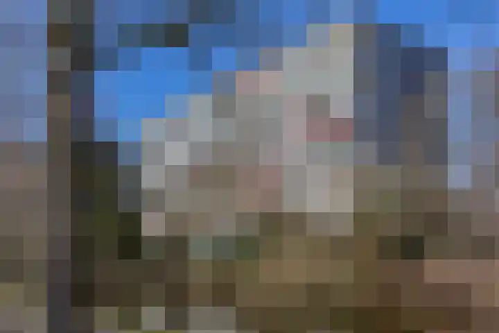 Terracottastraat 37 Rijswijk thumbnail 33