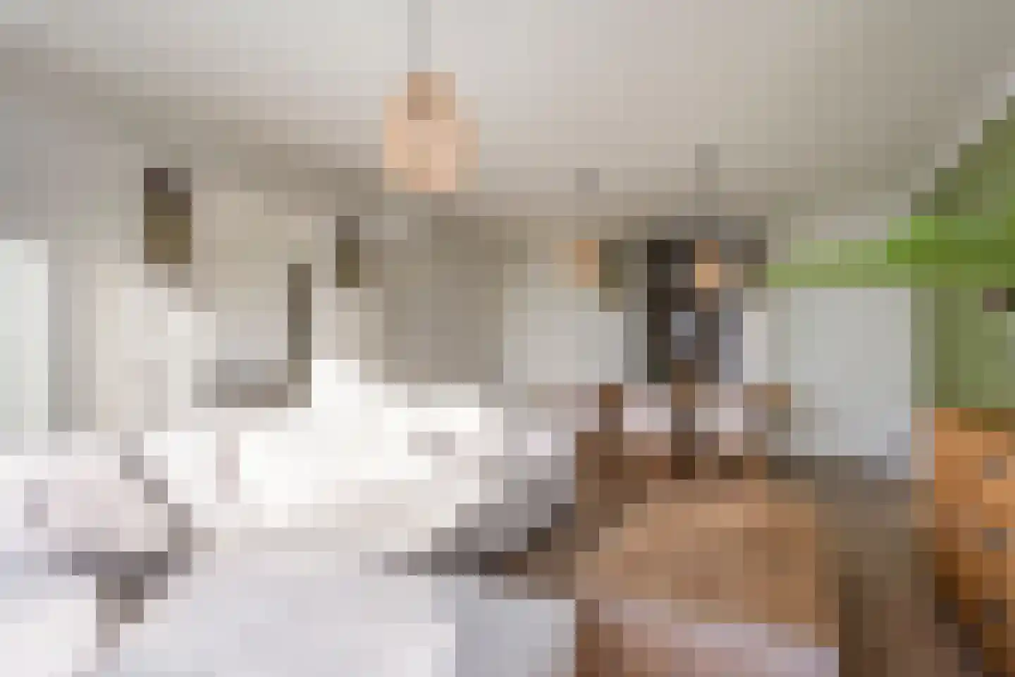 Terracottastraat 79 Rijswijk thumbnail 7