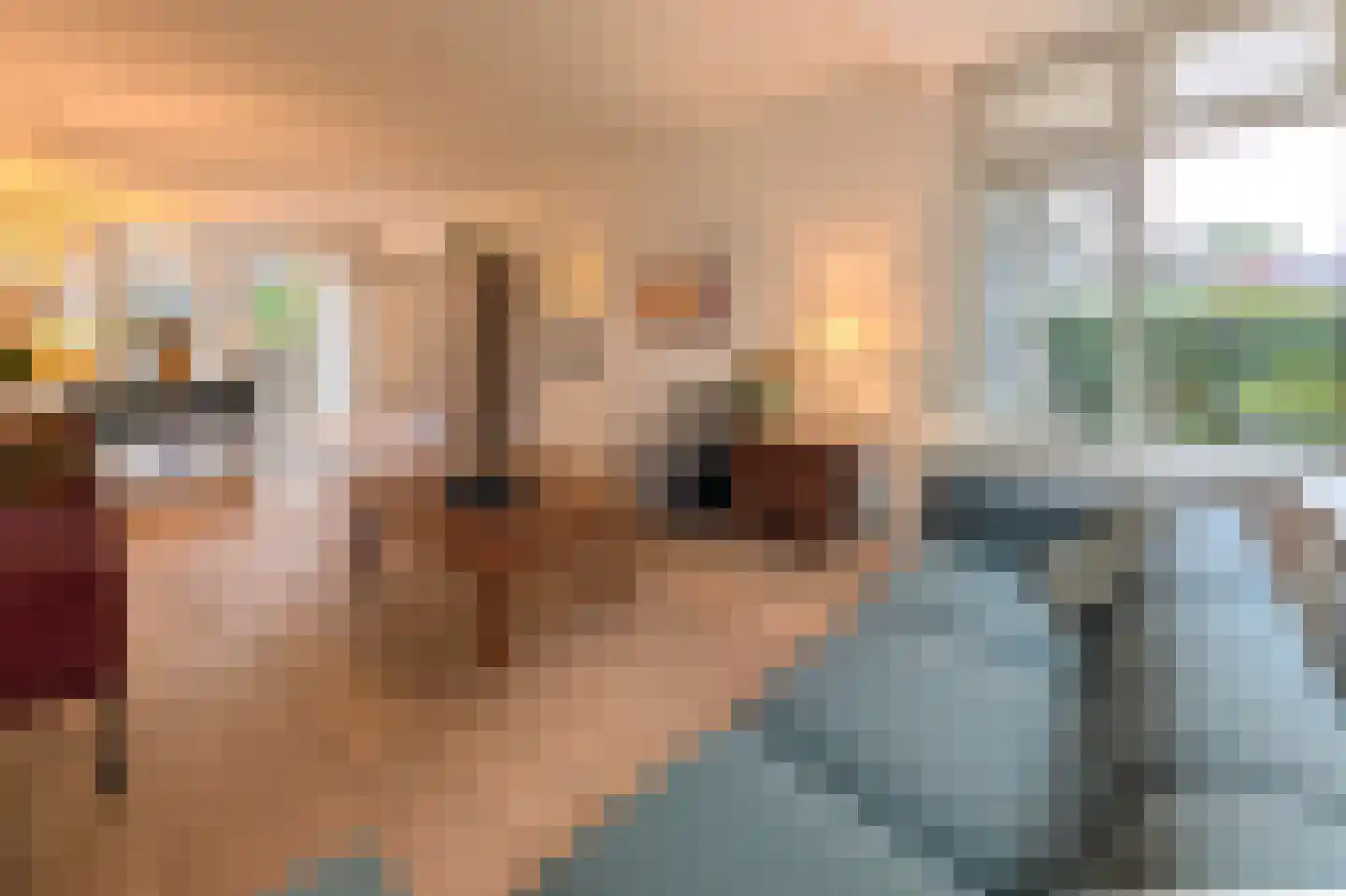 Terrahof 19 Tilburg thumbnail 13