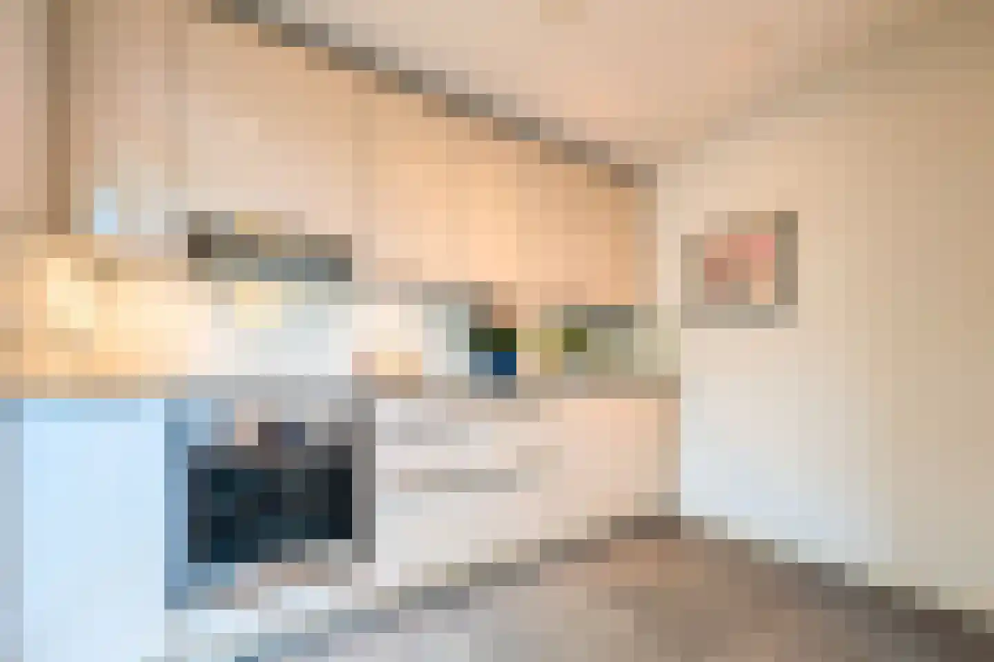 Terrahof 19 Tilburg thumbnail 18