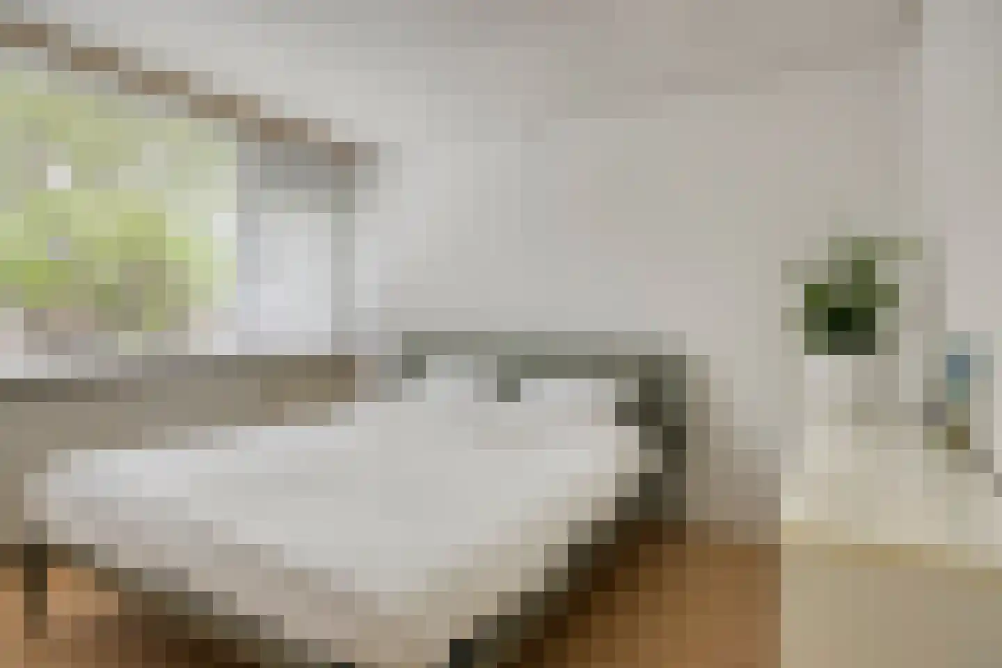 Terrahof 19 Tilburg thumbnail 22
