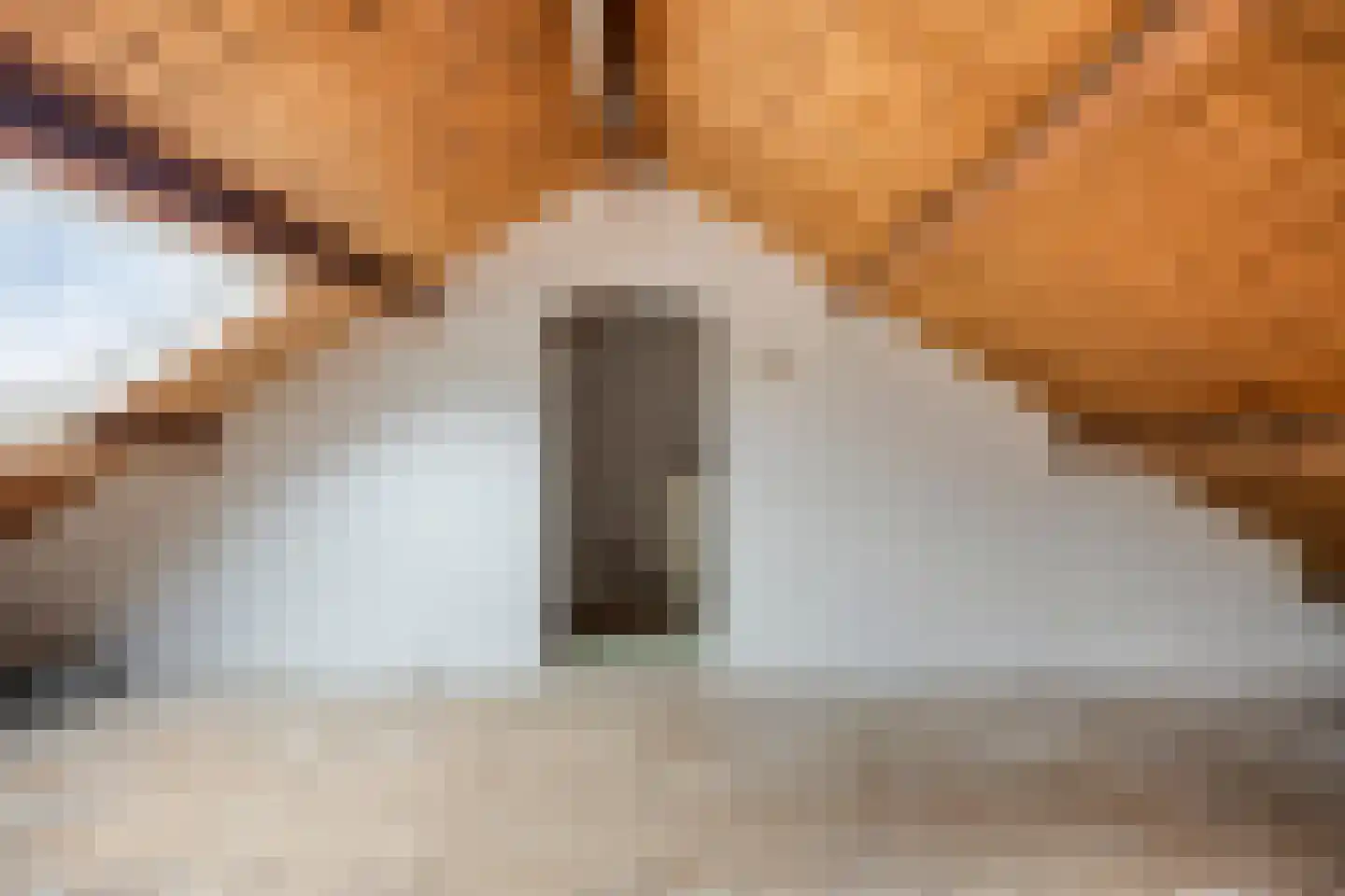 Terrahof 19 Tilburg thumbnail 32