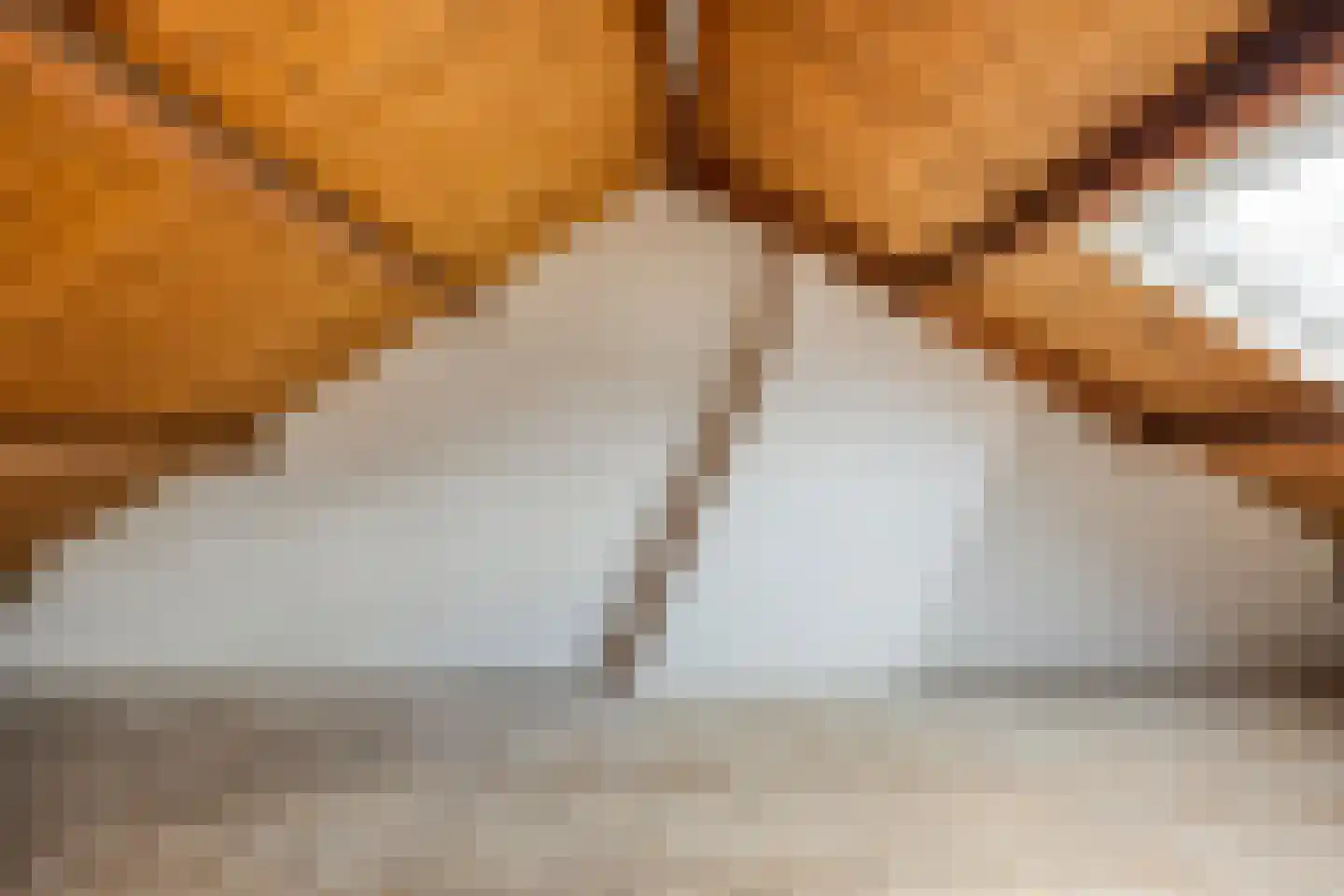 Terrahof 19 Tilburg thumbnail 33