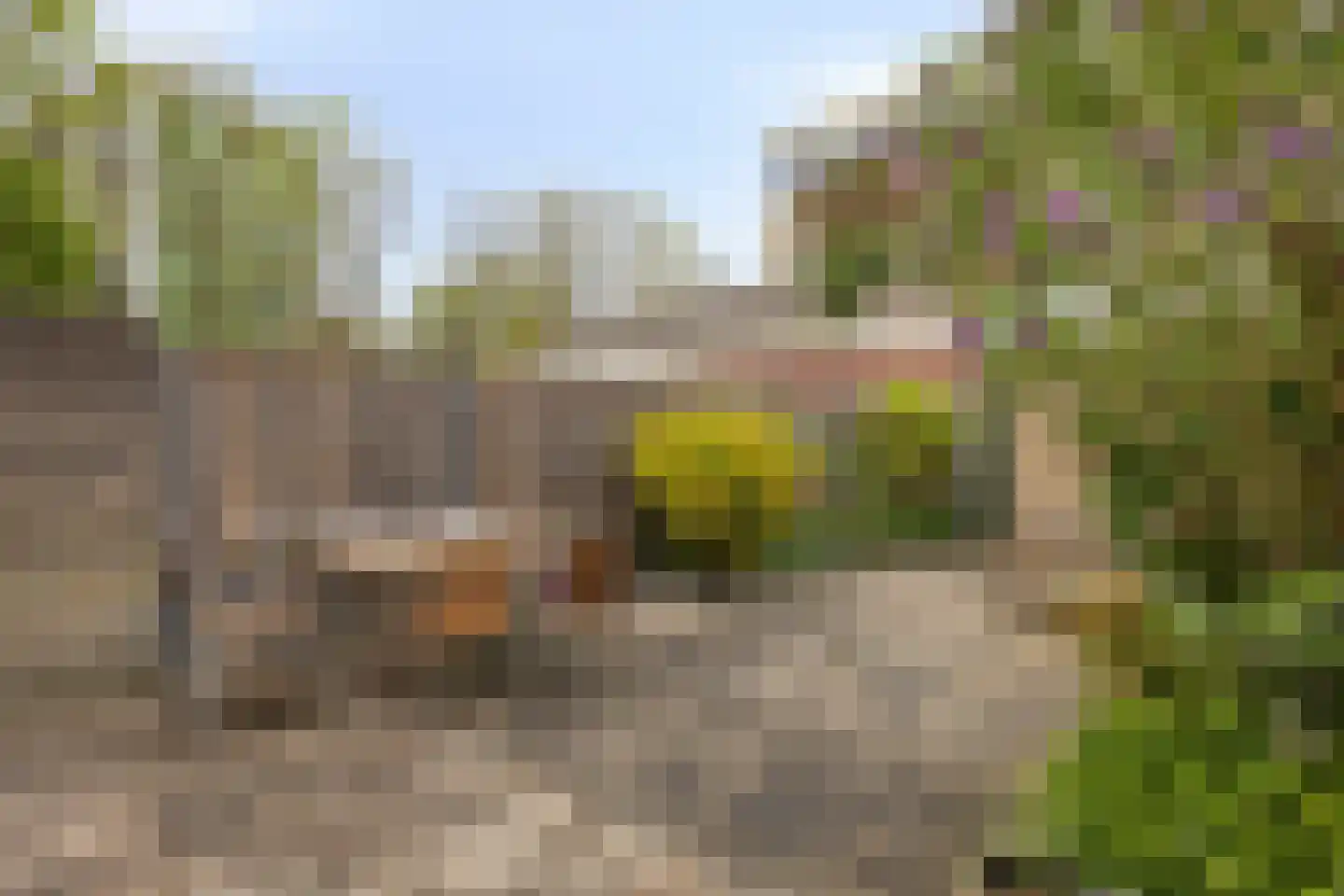 Terrahof 19 Tilburg thumbnail 37