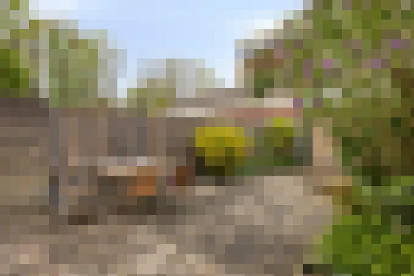Terrahof 19 Tilburg thumbnail 4