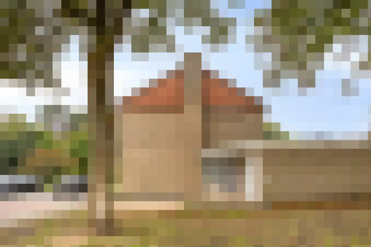 Terrahof 23 Tilburg thumbnail 14