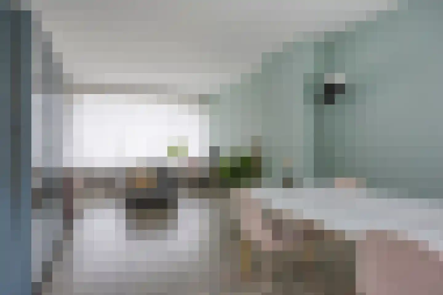 Terrahof 23 Tilburg thumbnail 23