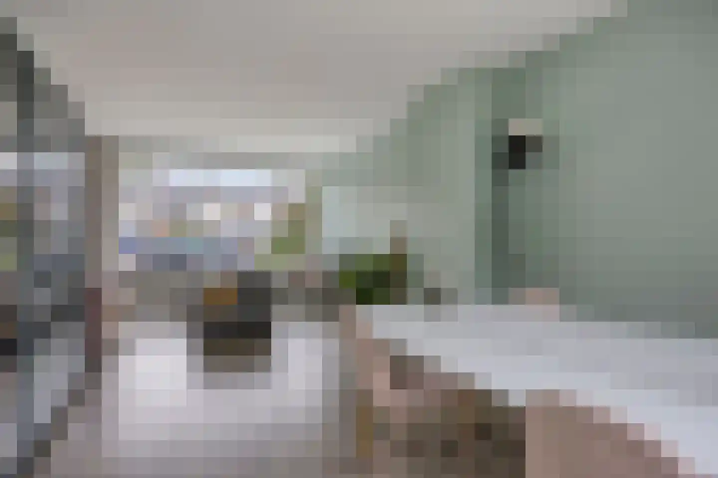 Terrahof 23 Tilburg thumbnail 28