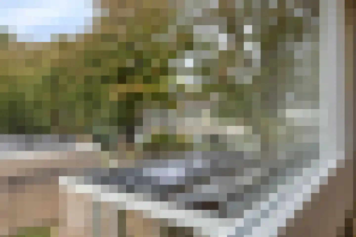 Terrahof 23 Tilburg thumbnail 46