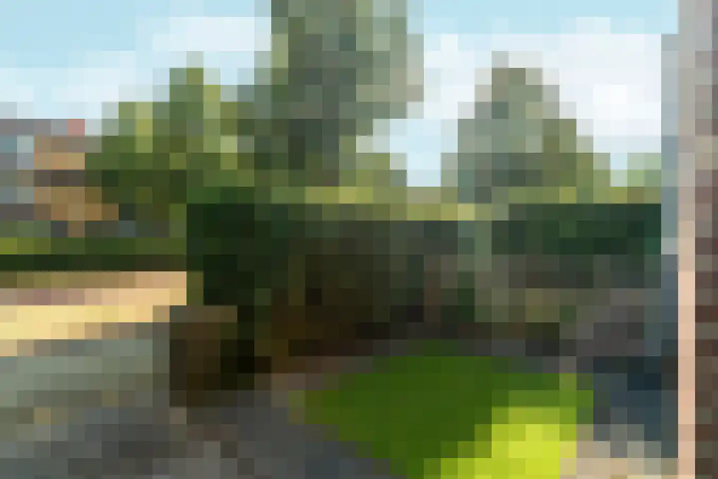 Terralaan 52 Nijmegen thumbnail 8