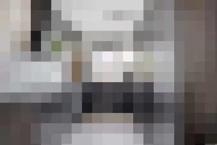 Terras 16 Almelo thumbnail 10