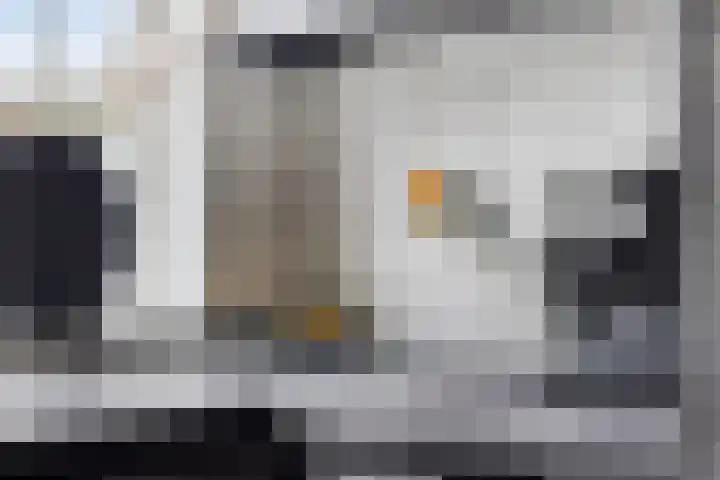 Terras 16 Almelo thumbnail 11