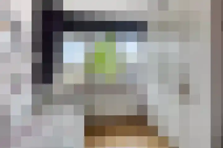 Terras 16 Almelo thumbnail 18