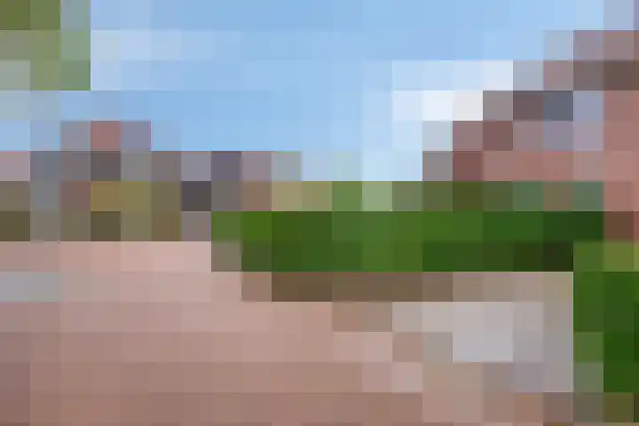 Terras 16 Almelo thumbnail 29