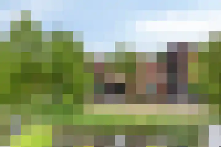 Terras 16 Almelo thumbnail 30
